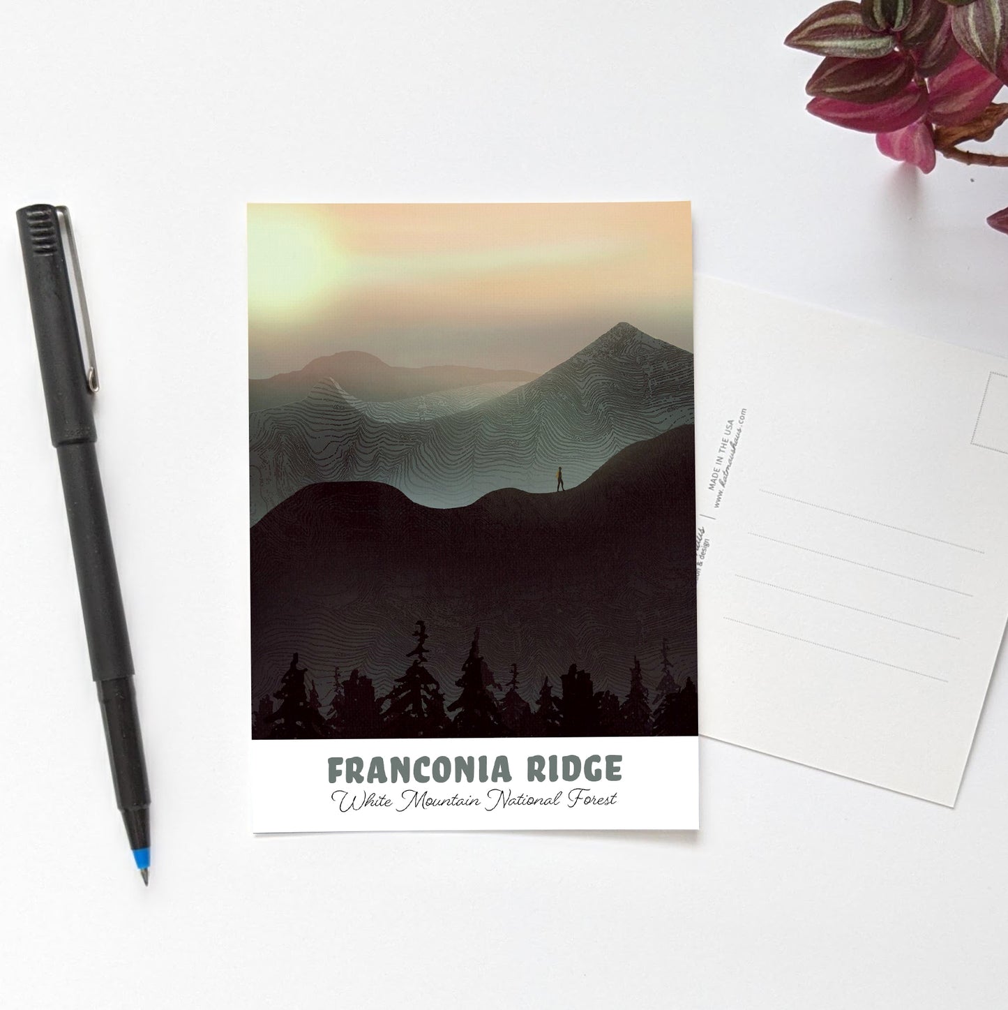 Franconia Ridge Postcard *New Look*